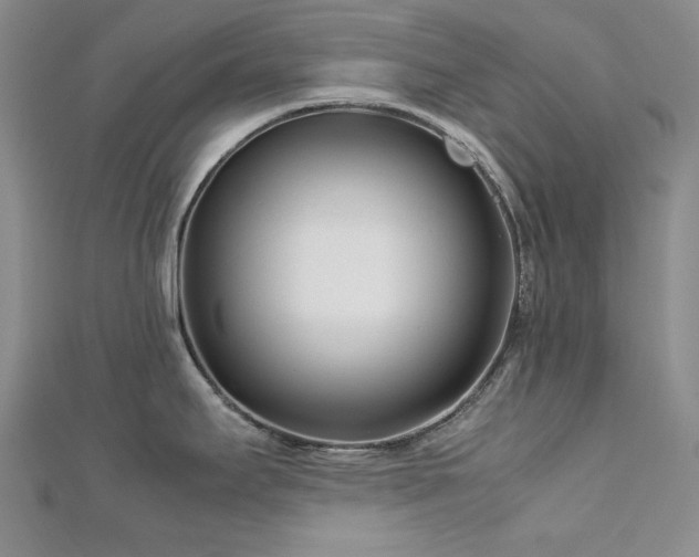 X0000113151295200909041225