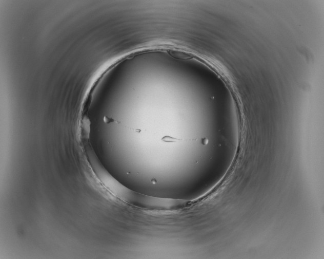 X0000113151296200909041225