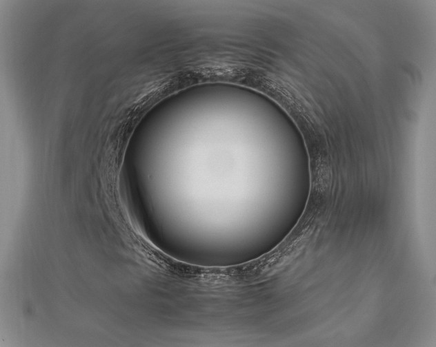 X0000113151297200909041224