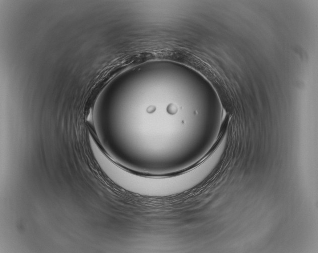 X0000113151298200909041224