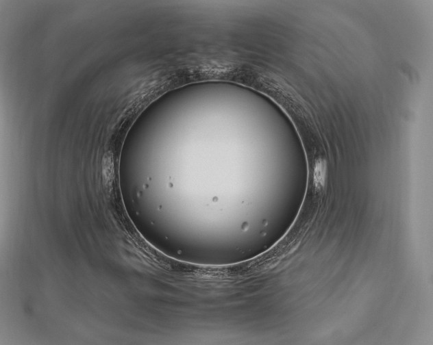 X0000113151299200909041224