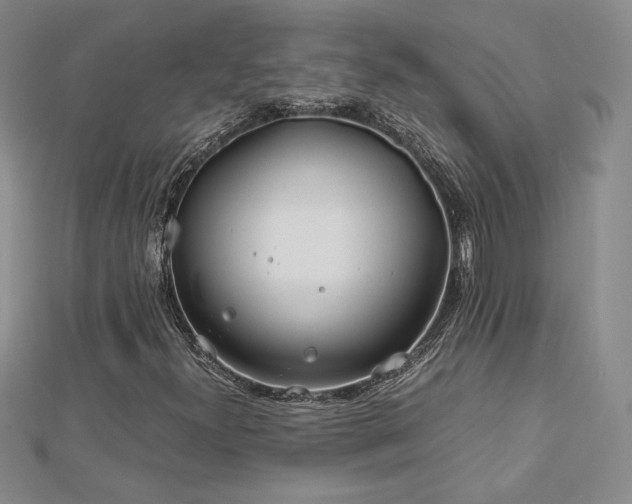 X0000113151300200909041224