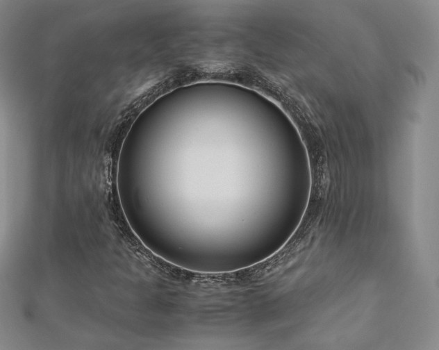 X0000113151301200909041224