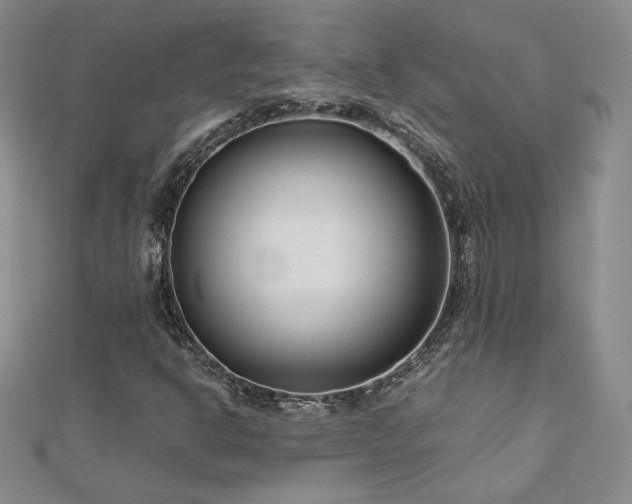 X0000113151302200909041224