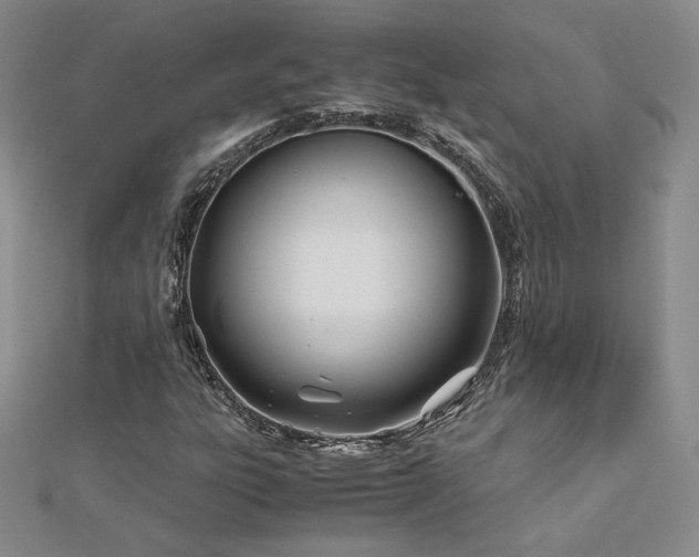 X0000113151303200909041224