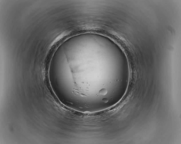 X0000113151306200909041224