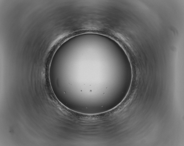 X0000113151307200909041224