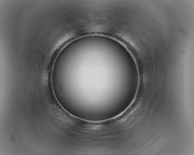X0000113151309200909041224