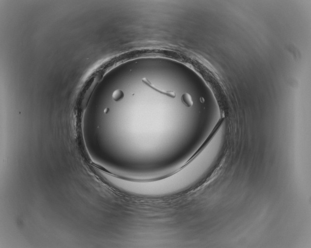 X0000113151310200909041224