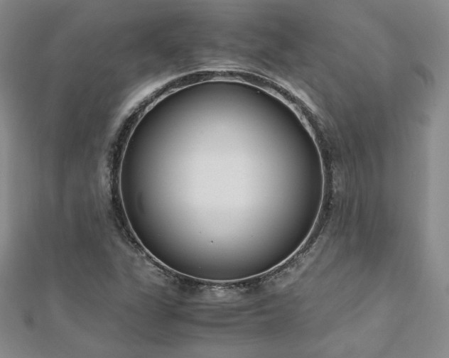 X0000113151311200909041224