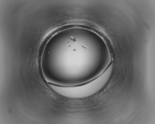 X0000113151312200909041224