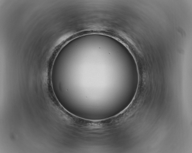 X0000113151315200909041224