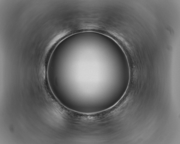 X0000113151317200909041224