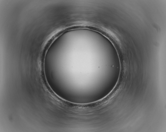 X0000113151318200909041224