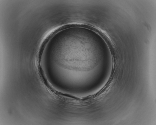 X0000113151319200909041224