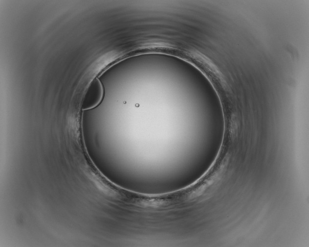 X0000113151321200909041224