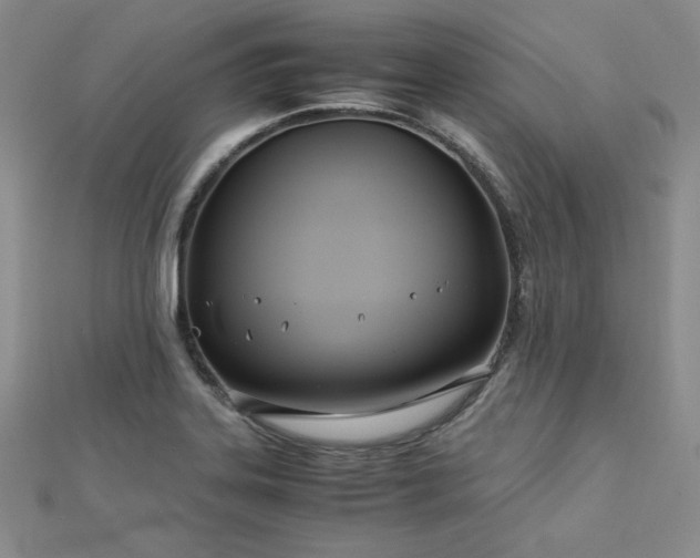 X0000113151323200909041225