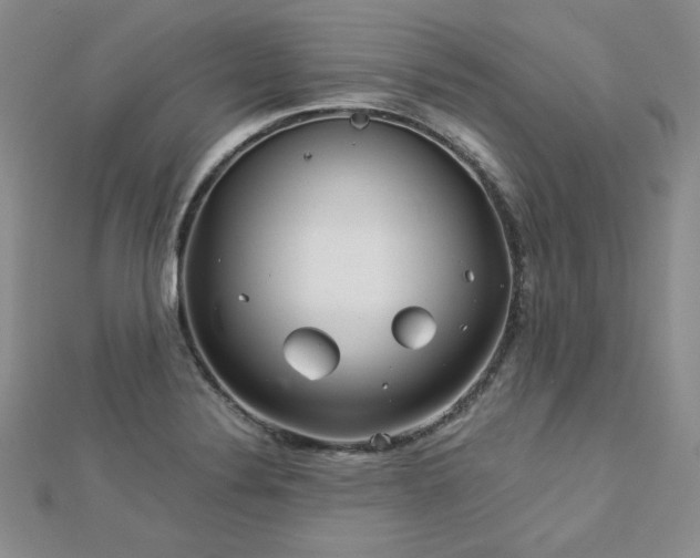 X0000113151324200909041225