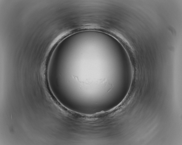 X0000113151325200909041225