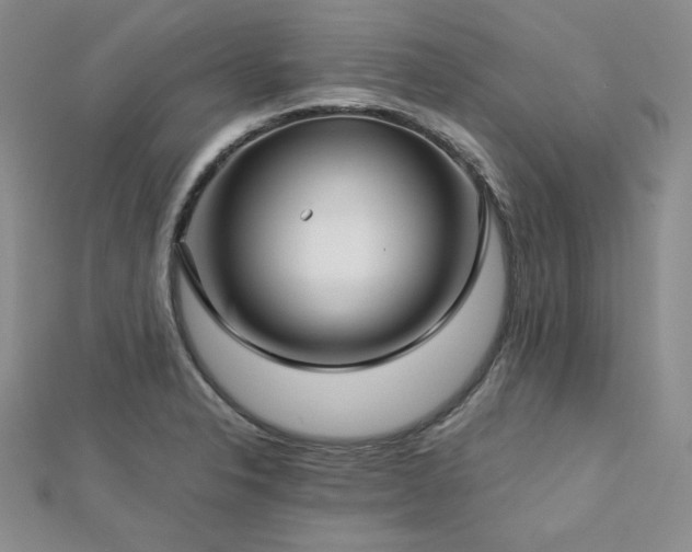 X0000113151326200909041225