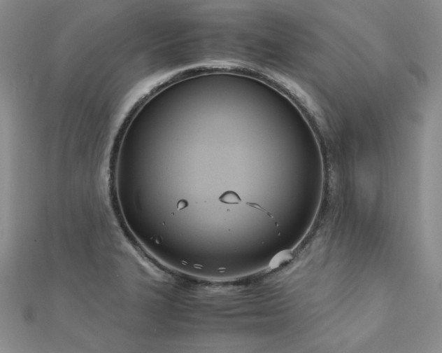 X0000113151327200909041225