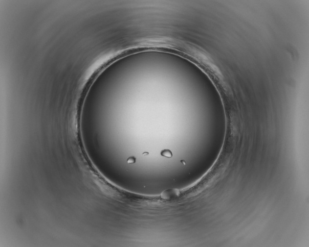 X0000113151328200909041225