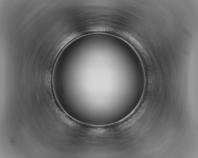 X0000113151329200909041225