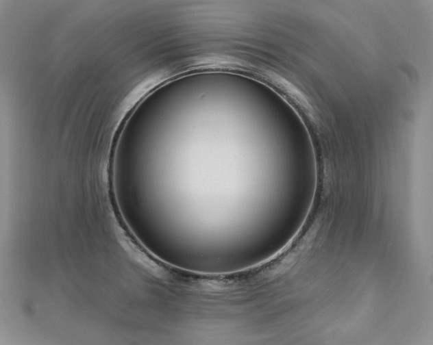 X0000113151330200909041225