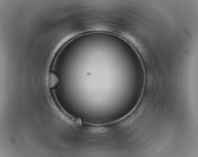 X0000113151331200909041225