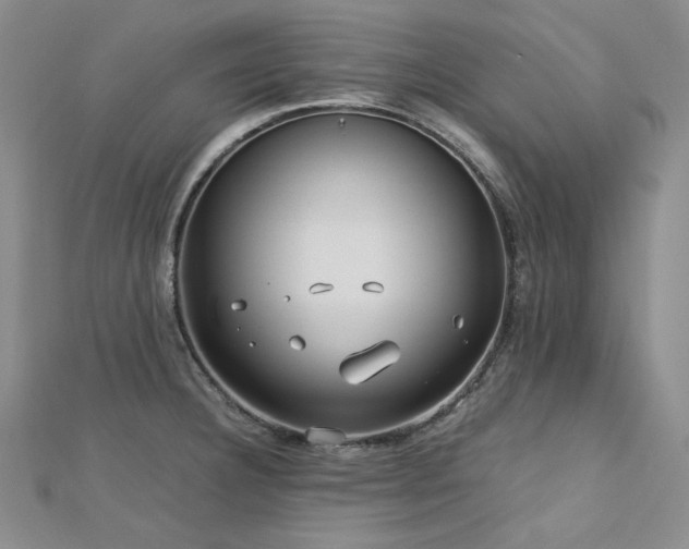 X0000113151332200909041225