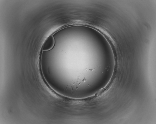 X0000113151333200909041225