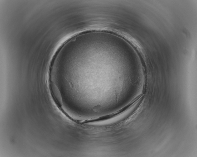 X0000113151334200909041225