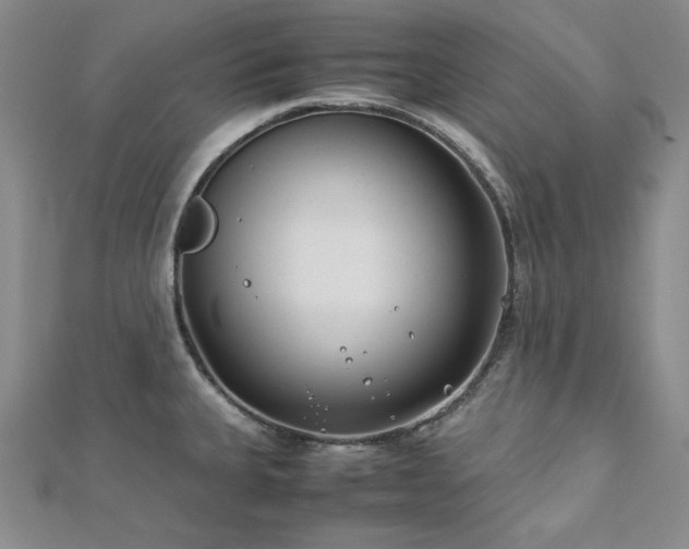 X0000113151335200909041225