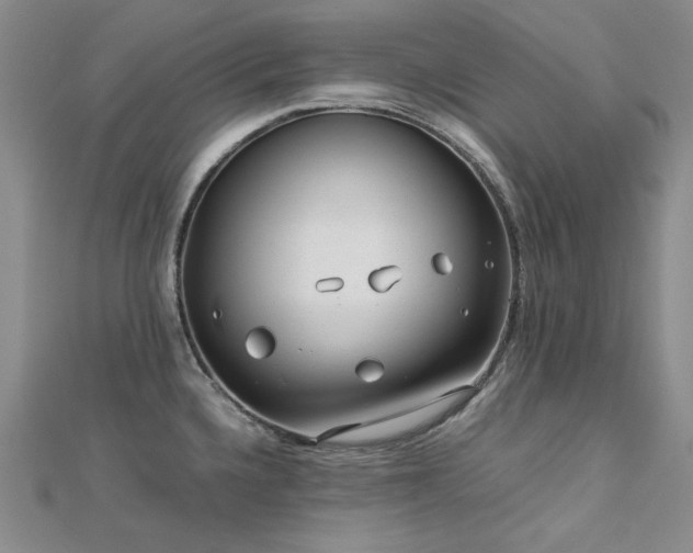 X0000113151336200909041225