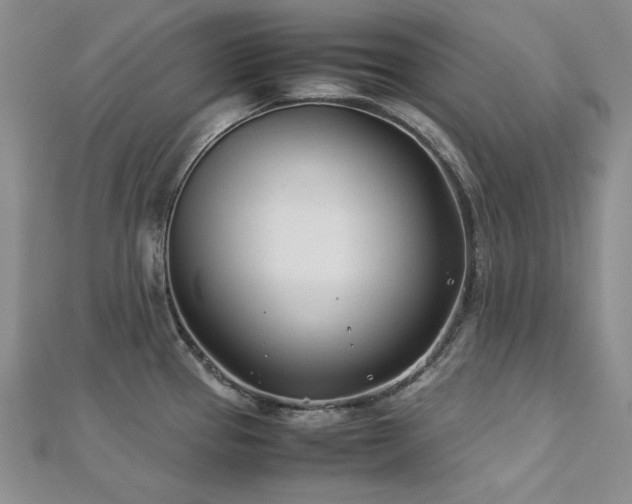 X0000113151337200909041225