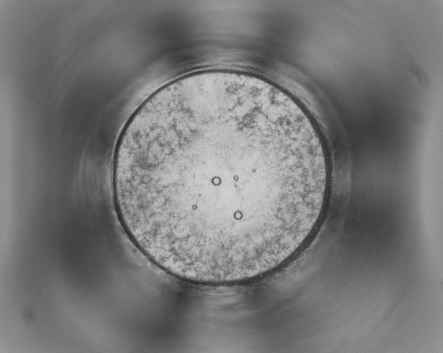 X0000113151338200909041225