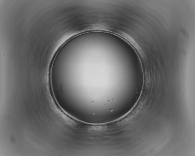 X0000113151339200909041225