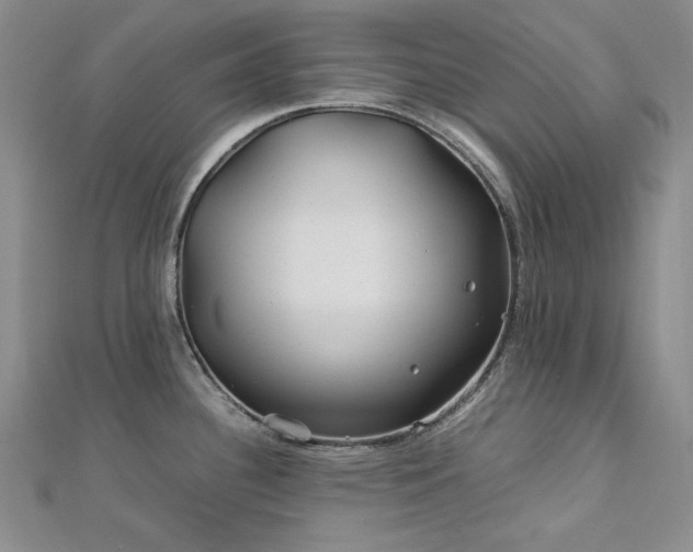 X0000113151340200909041225