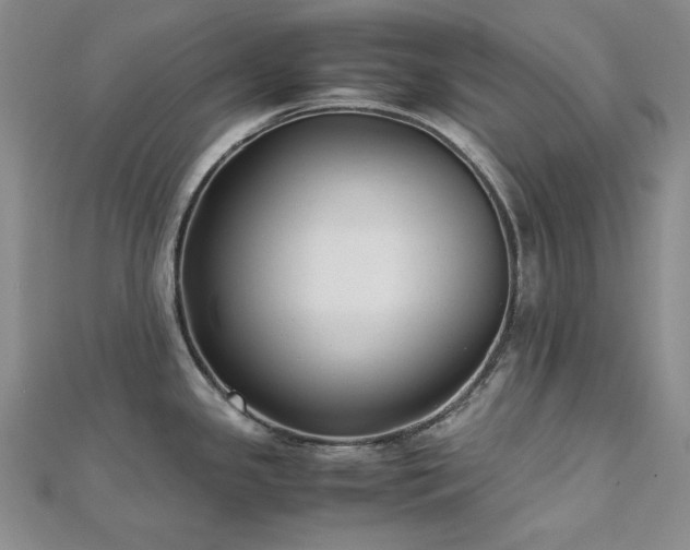 X0000113151341200909041225