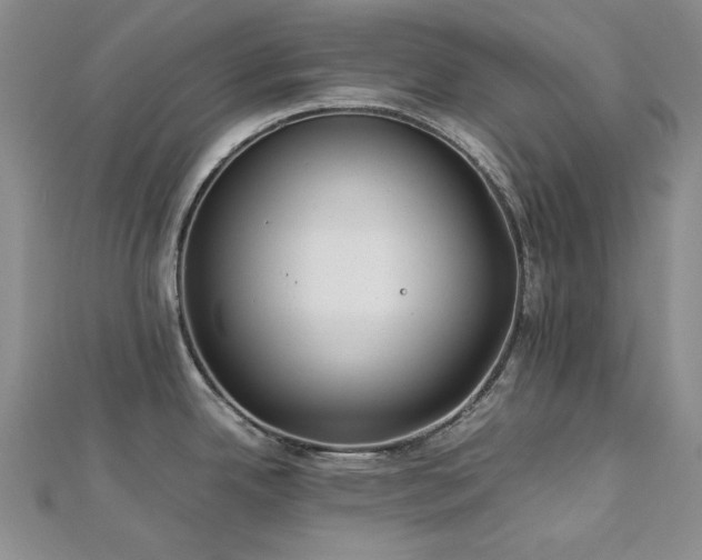 X0000113151342200909041225