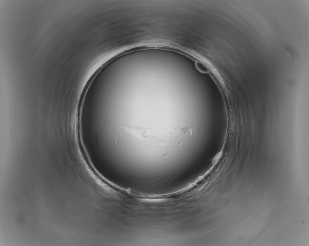 X0000113151343200909041225