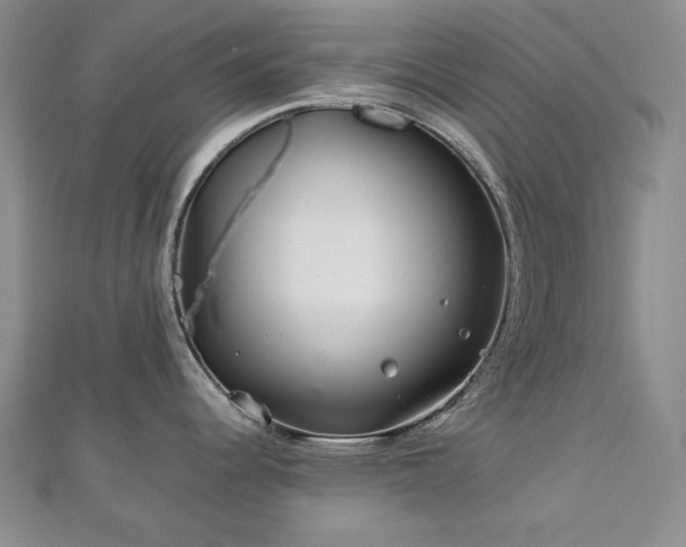 X0000113151344200909041225