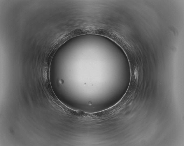 X0000113151348200909041224