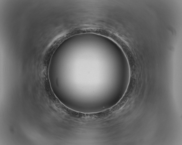 X0000113151351200909041224