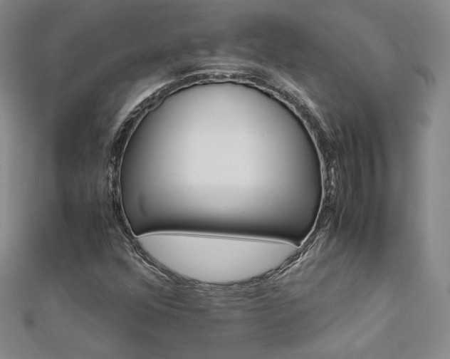 X0000113151352200909041224