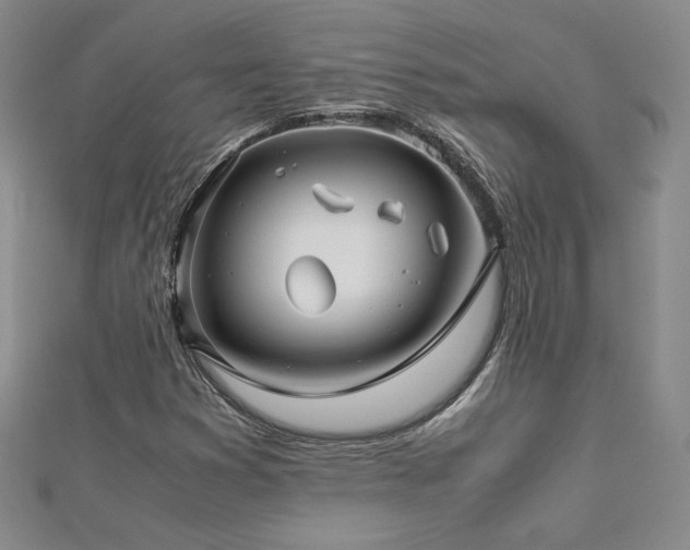 X0000113151353200909041224