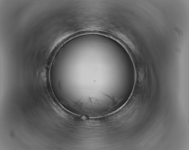 X0000113151356200909041224