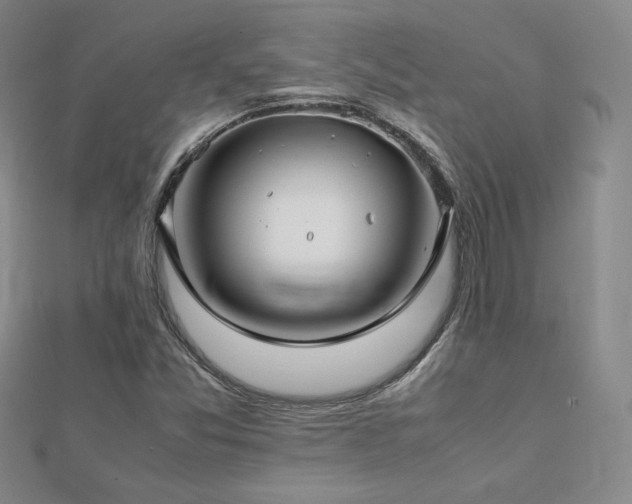 X0000113151357200909041224