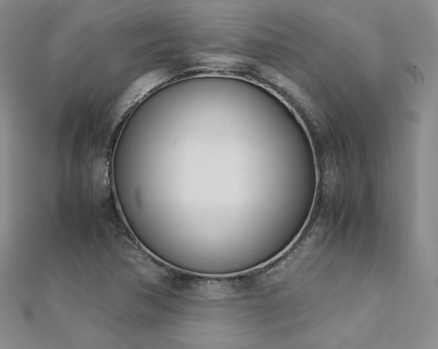 X0000113151362200909041224