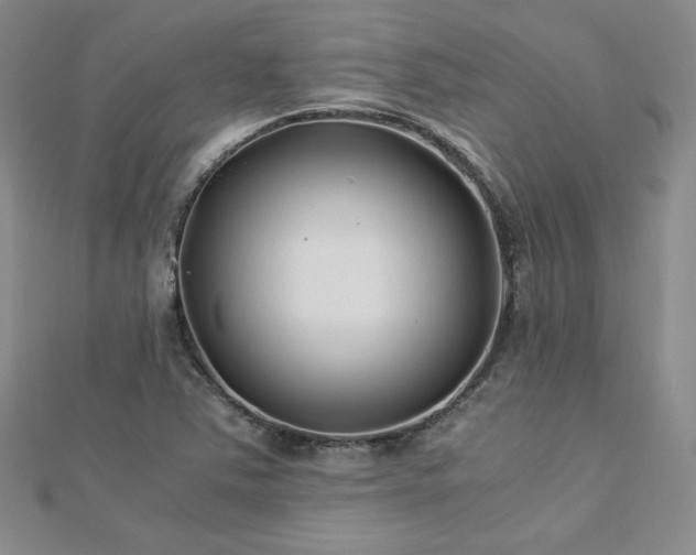X0000113151363200909041224